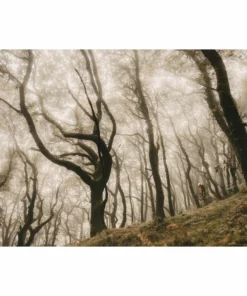 Goodyear Newton Enduro Tubeless Front MTB Tyre Black 2.5" 2 -France Pièces Pour Vélos Soldes Goodyear Newton Enduro Tubeless Front MTB Tyre Tyres Black GR 015 64 584 V004 R 9