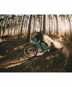 Goodyear Newton Enduro Tubeless Rear MTB Tyre Black 2.4" 29 -France Pièces Pour Vélos Soldes Goodyear Newton Enduro Tubeless Rear MTB Tyre Tyres Black GR 014 61 584 V004 R 5